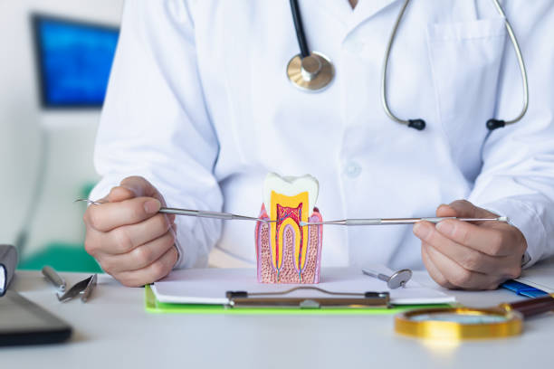 Best 24-Hour Emergency Dentist in Trinity, NC